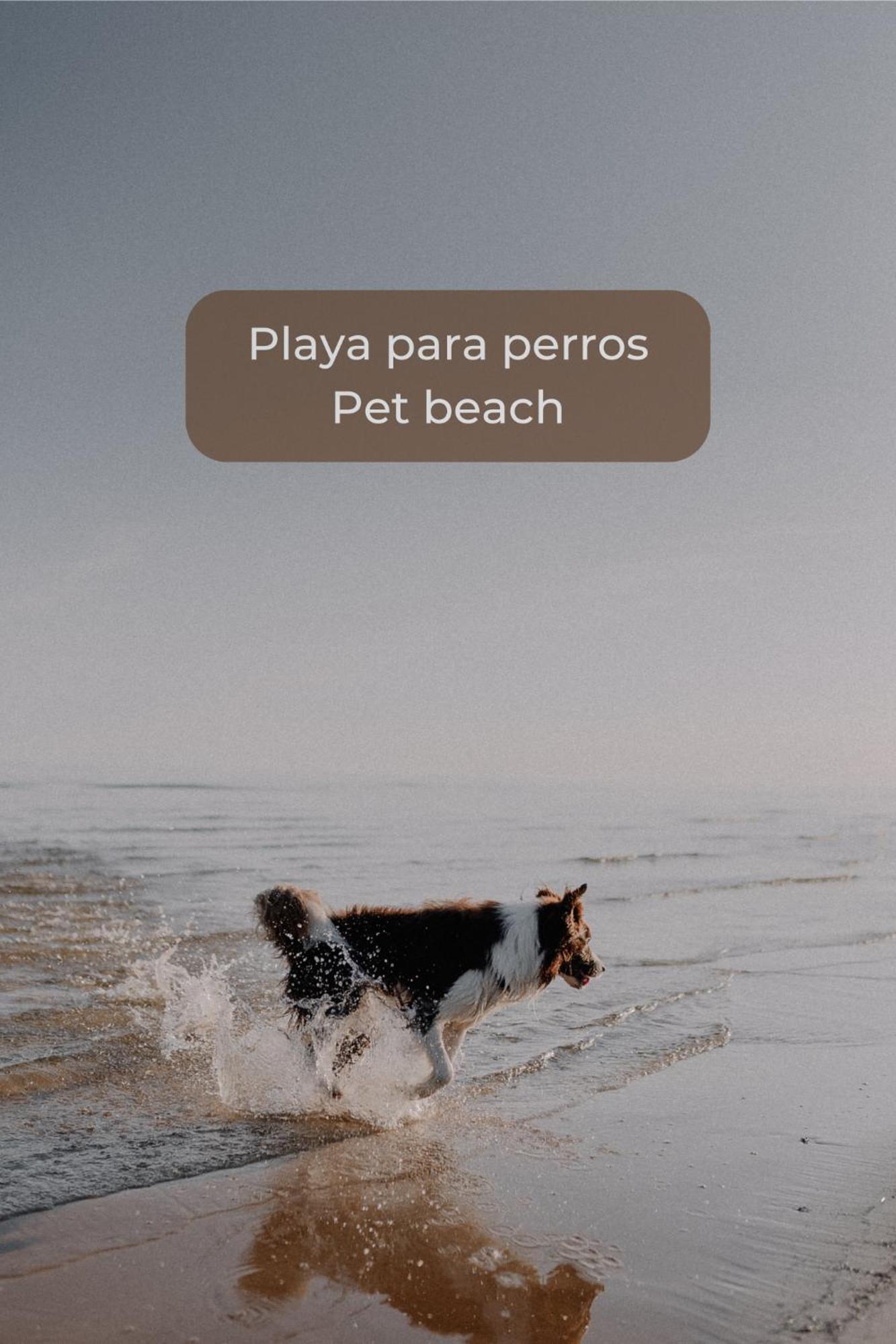 Basa Paradise - Piscina, Terraza, Wifi Y Parking Corralejo Luaran gambar